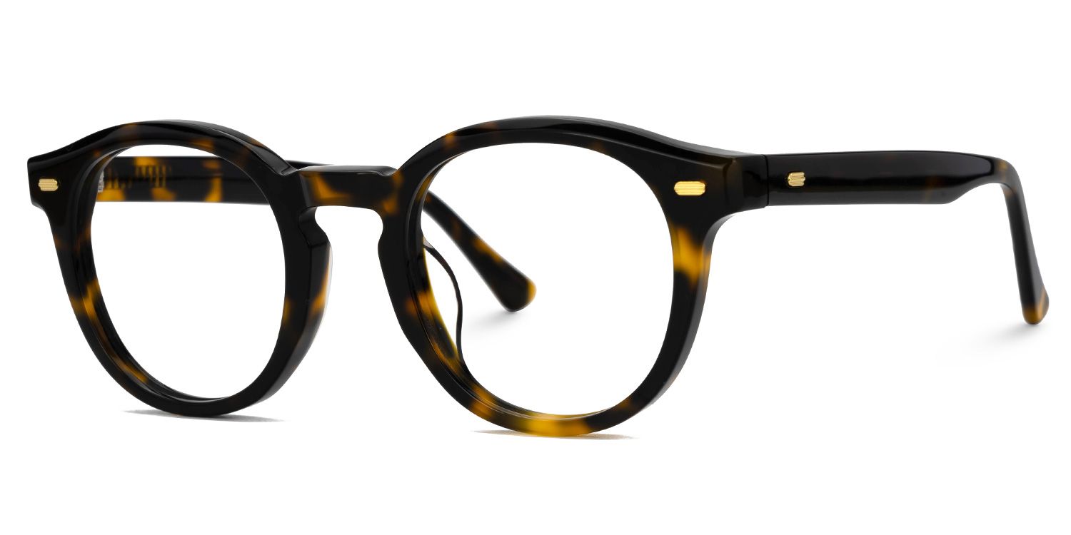 Dicks Eyeglasses in Round Tortoise Frame | Zeelool1