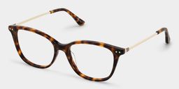 Finch Tortoise Rectangle Glasses3