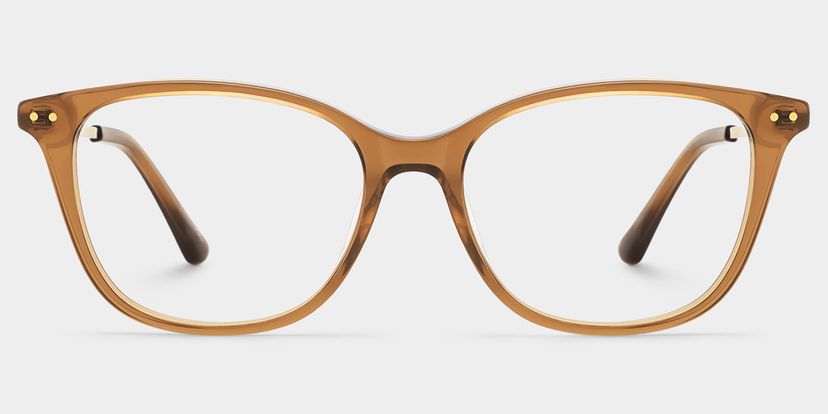 Finch Brown Rectangle Glasses
