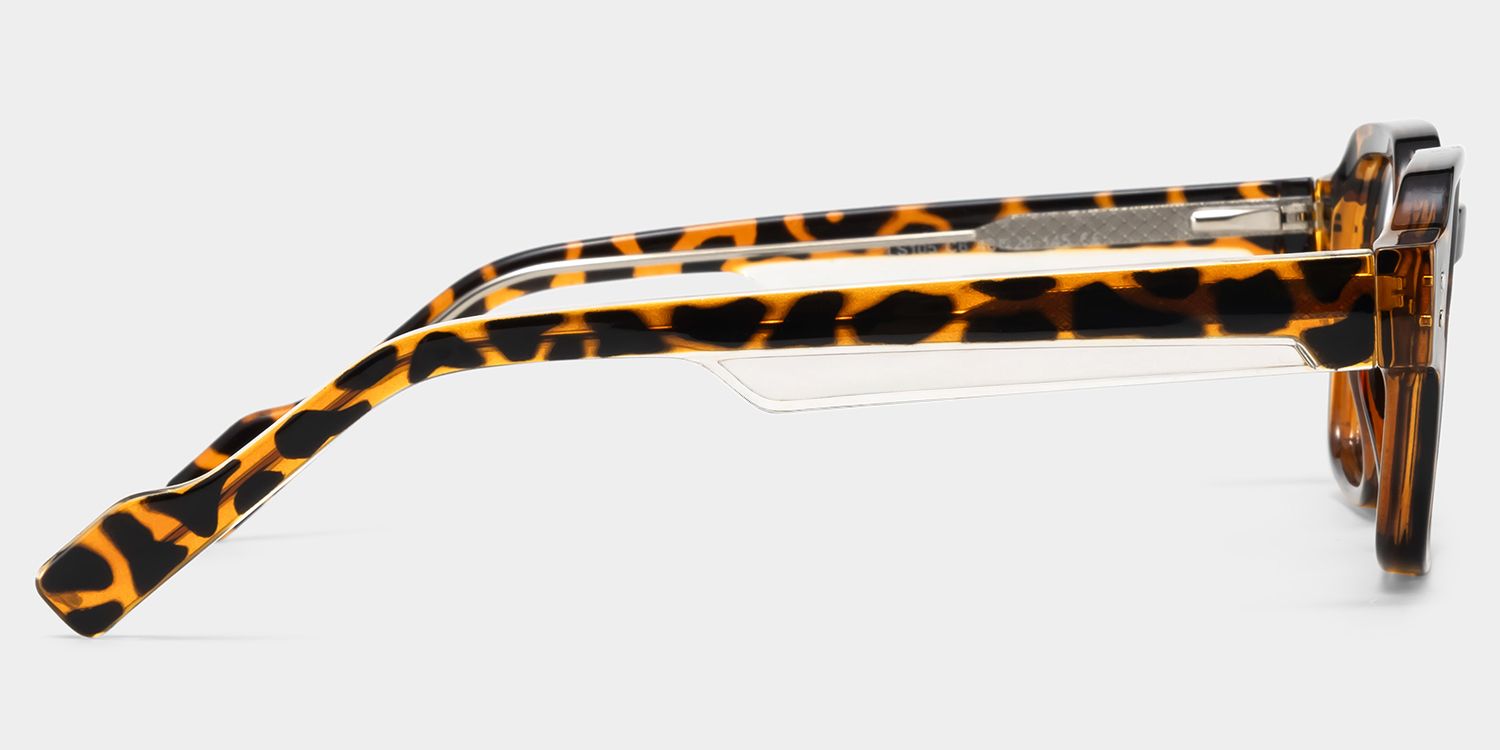 Joy Tortoise Frame Glasses with Geometric Frame Online | ZEELOOL