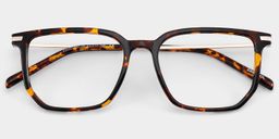 Michelle Tortoise Rectangle Glasses2