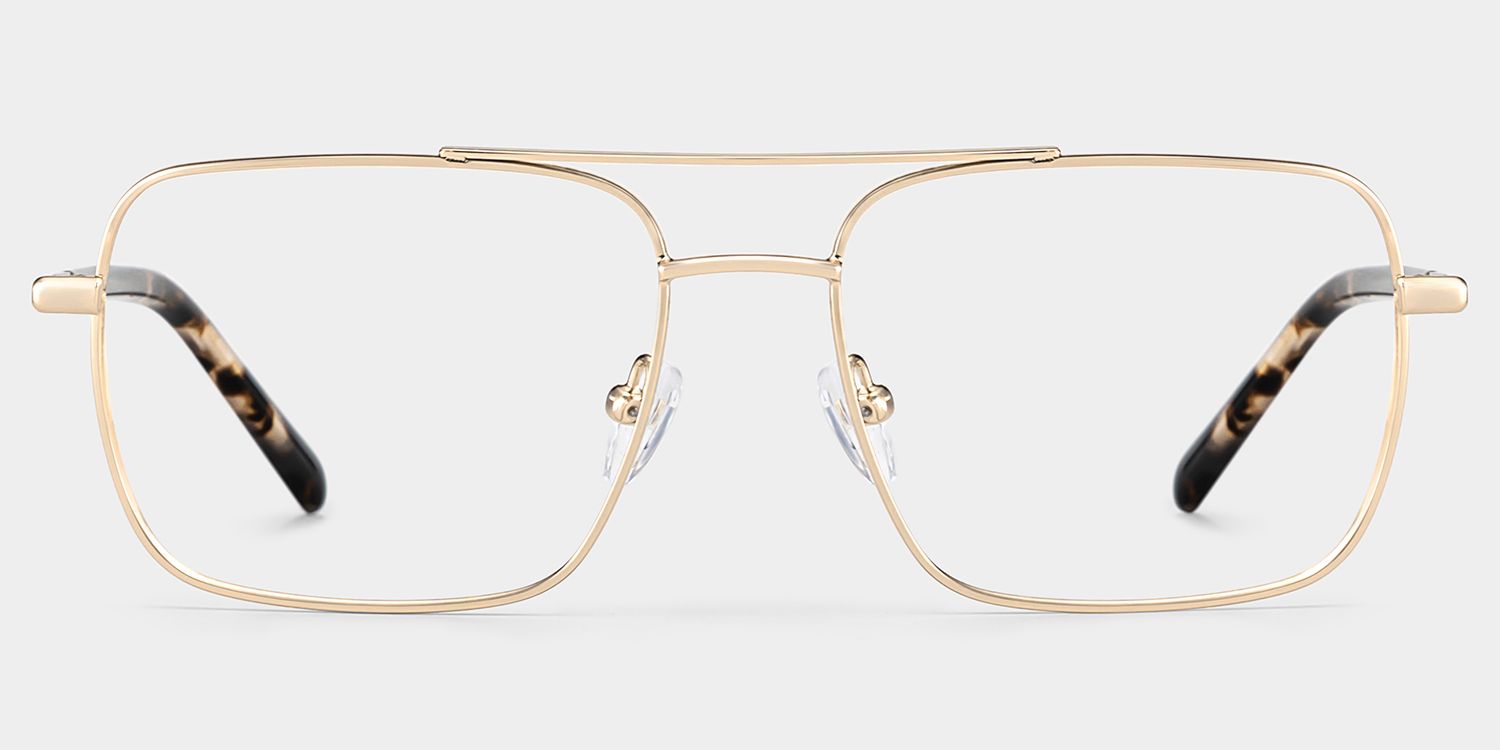 Iris Light Gold Frame Glasses with Aviator Frame Online | ZEELOOL2