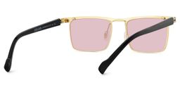 Violet Browline Gold Sunglasses4