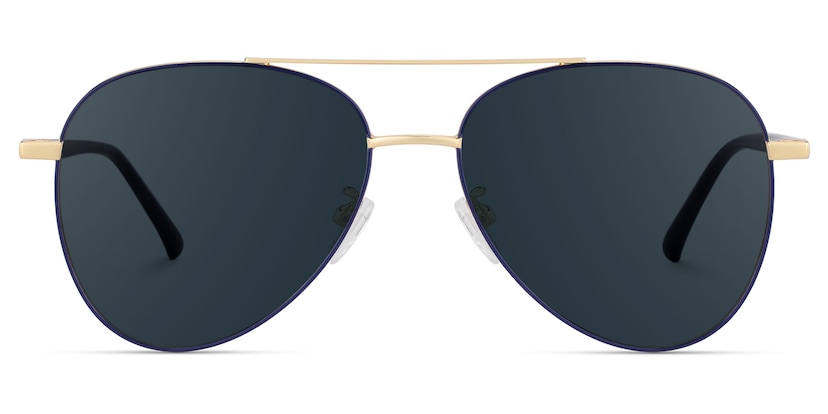 Paige Aviator Blue-Gold Sunglasses