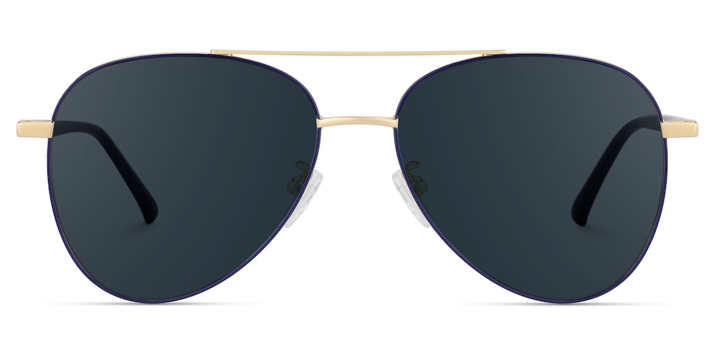 Paige Aviator Blue-Gold Sunglasses