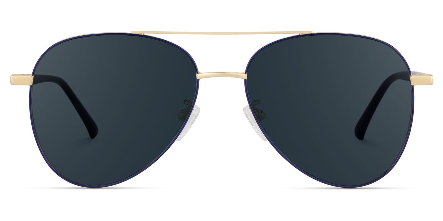 Paige Aviator Blue-Gold Sunglasses