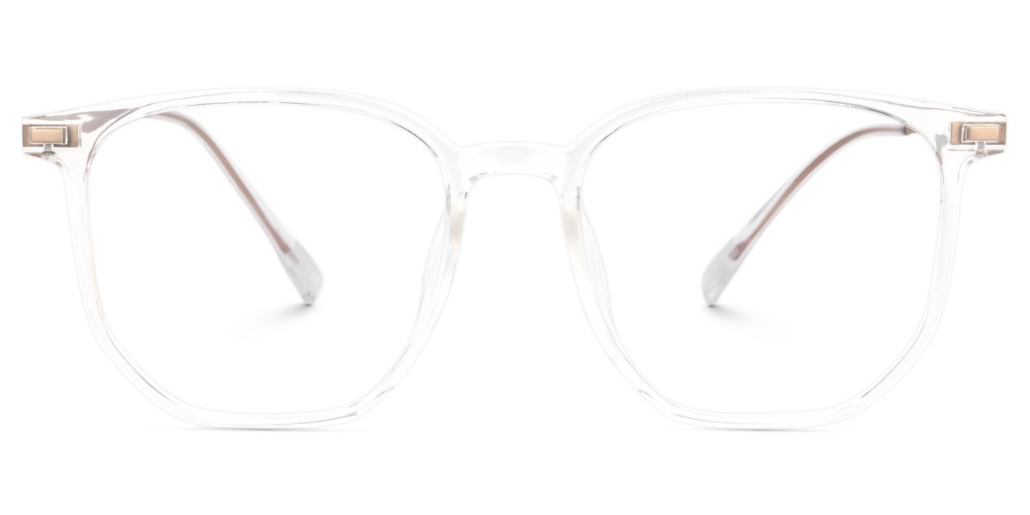 Bianca Mixed-Materials Geometric Clear Frame Glasses | Zeelool0