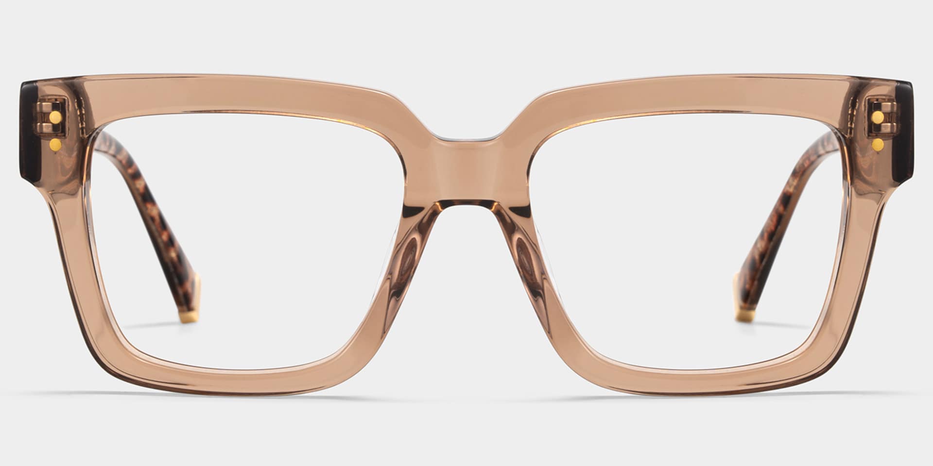 Caius Champagne Frame Glasses with Square Frame Online | ZEELOOL5
