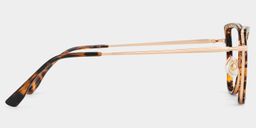 Sloane Cat-Eye Tortoise Glasses4