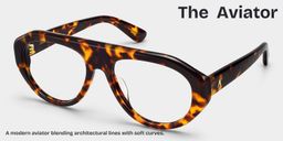 The Aviator Tortoise Aviator Glasses3