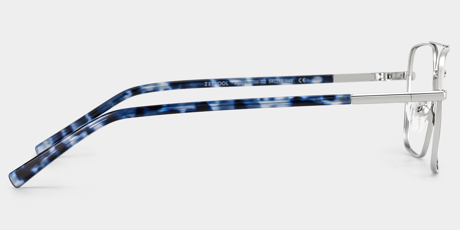 Iris Aviator Silver Glasses5