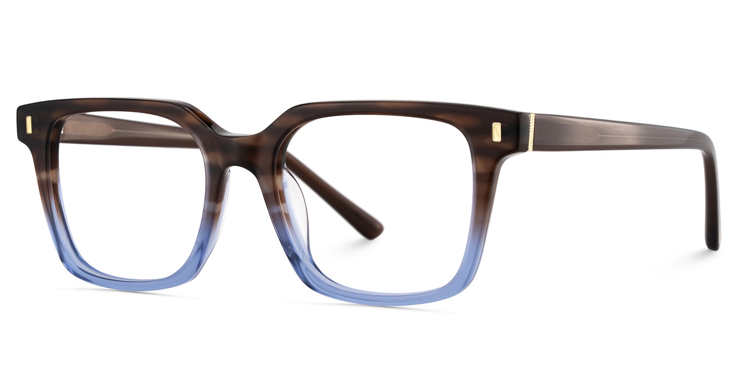 Pagel Brown Gradient Blue Thin Frame Eyeglasses | Zeelool3