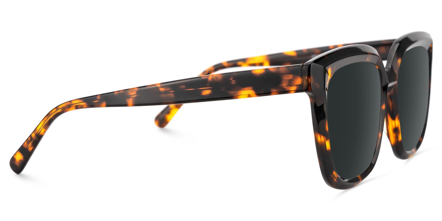Lark Square Tortoise Polarized Sunglasses3