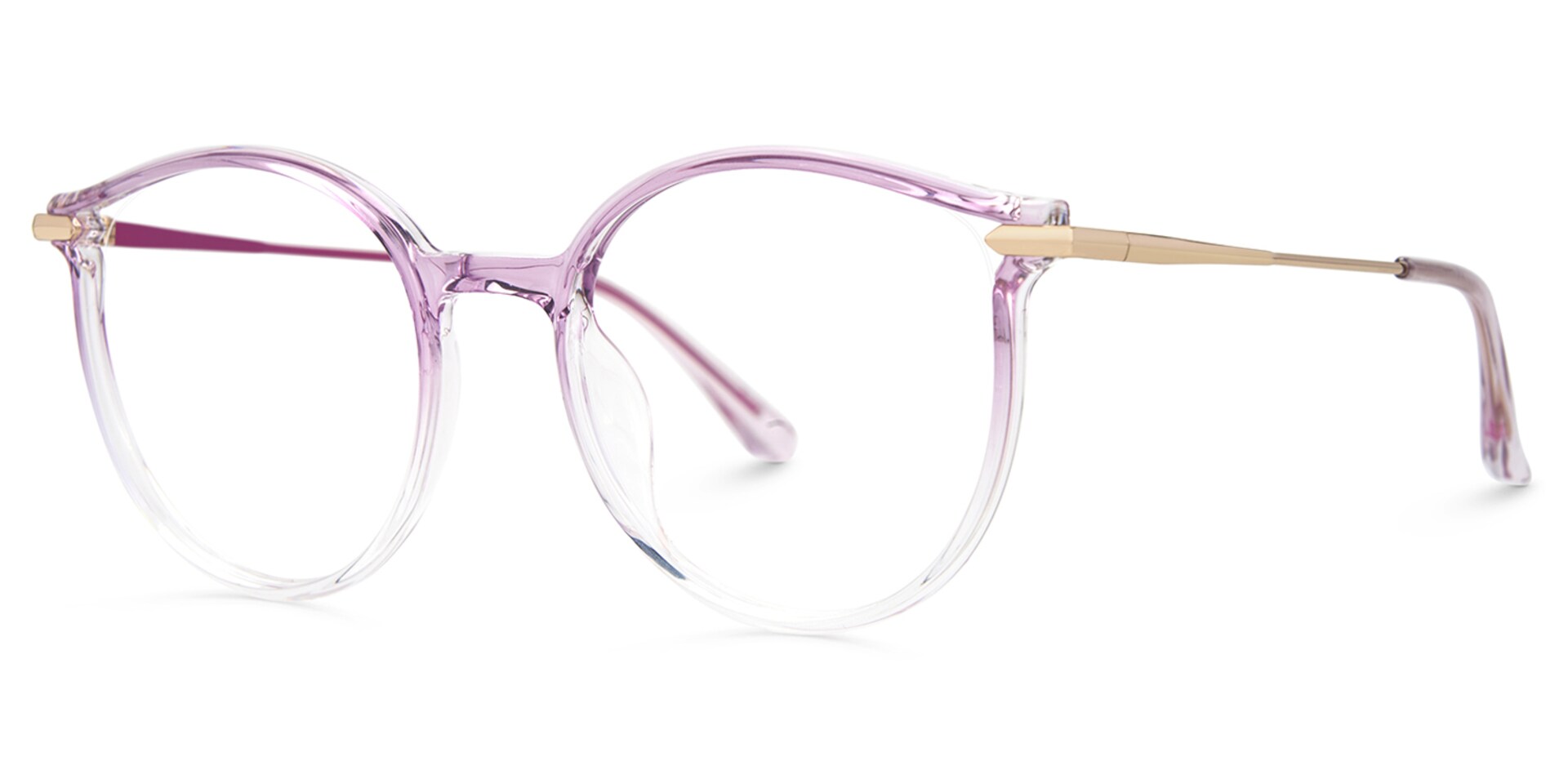 Caylan Round Purple Designer Eyeglass Frames1
