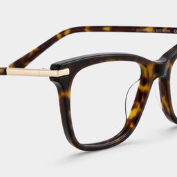 Eliot Tortoise Rectangle Glasses5