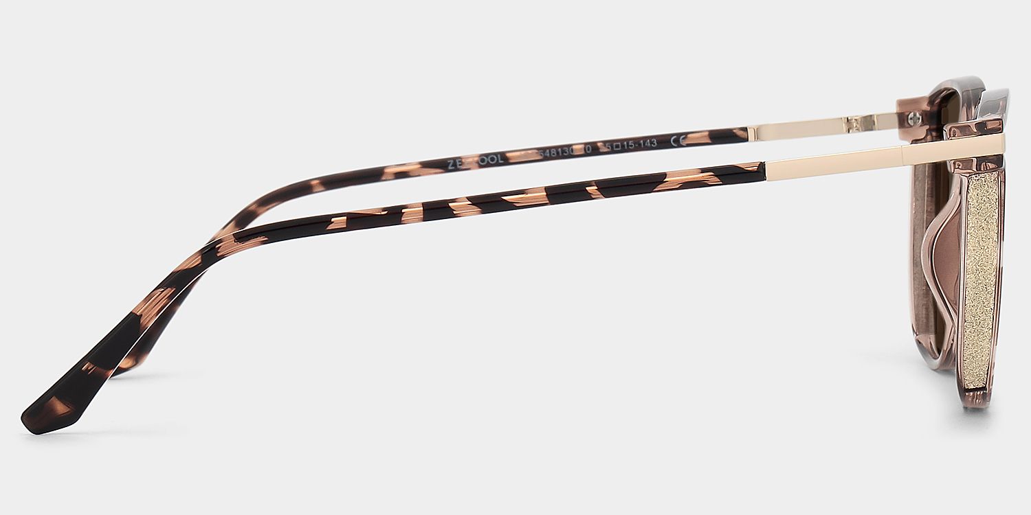 Rodz Tr90 Tortoise Frame Sunglasses | ZEELOOL