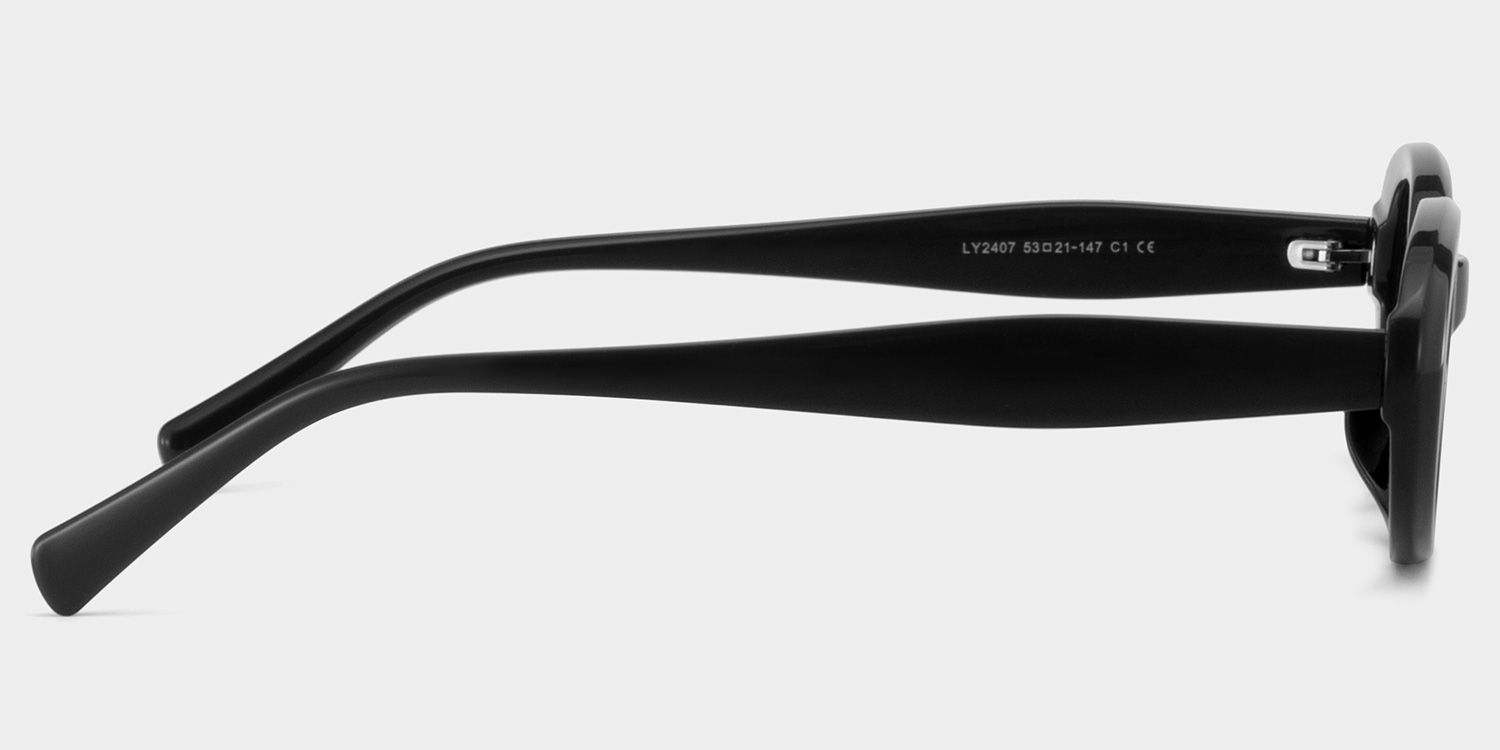 Zion black Frame Polarized Sunglasses with oval Style Online | ZEELOOL4