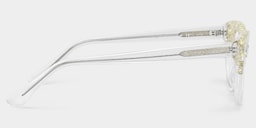 Elora  Cat-eye Silver Glasses6