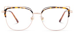 Samson Square Tortoise Glasses0