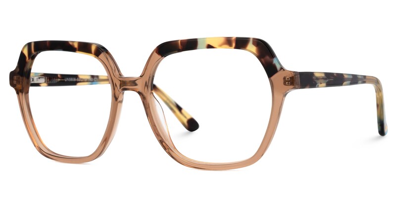 Two-Tone Acetate Geometric Eyeglasses- Janey1