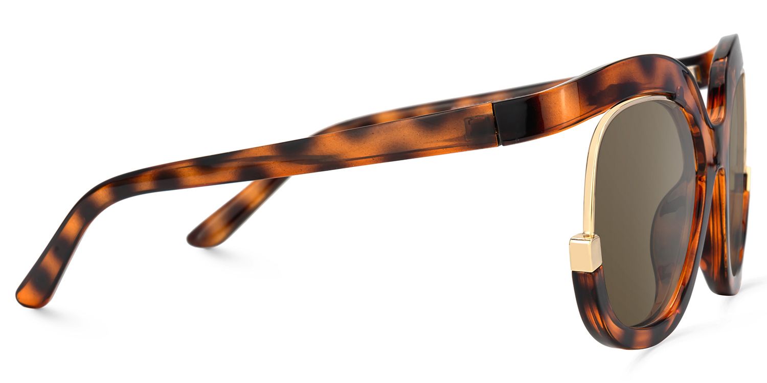 Darice Round Tortoise Sunglasses | Zeelool Glasses3