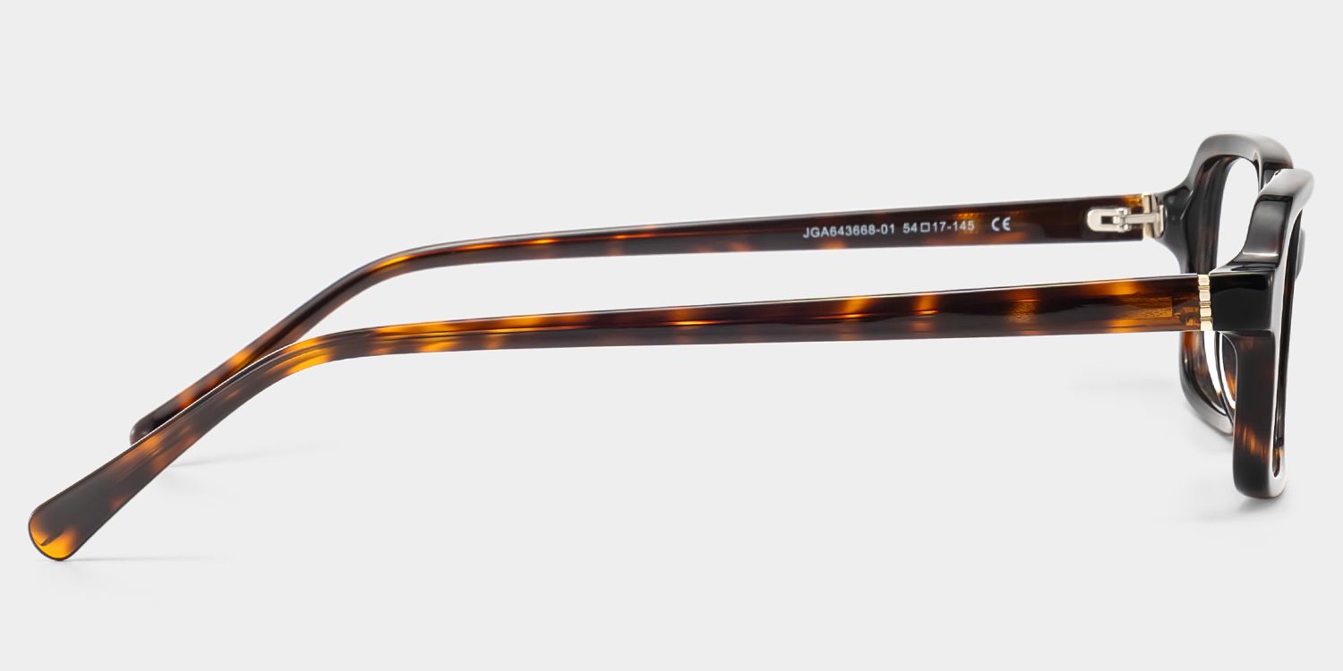 ラジュルネ Danielle Matte Brown Tortoise Rectangle Glasses | ZEELOOL