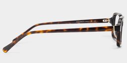 Danielle Tortoise Rectangle Glasses4