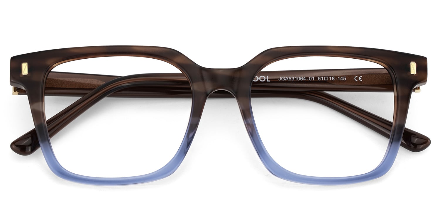Pagel Brown Gradient Blue Thin Frame Eyeglasses | Zeelool2