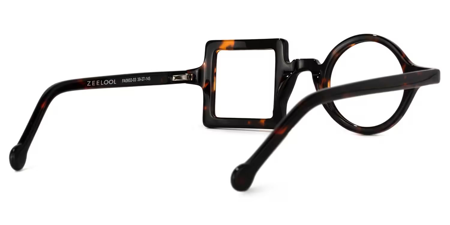 Paola Tortoise Asymmetric Square Circle Glasses3