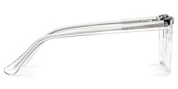 Sienna Butterfly Crystal Glassess3