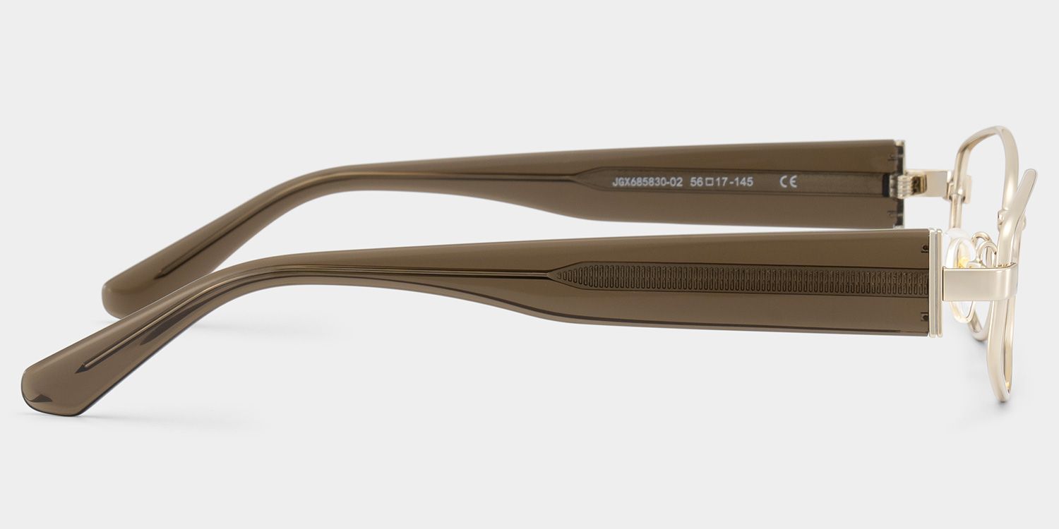 Dakota Cinnamon Rectangle Glasses for the Female | ZEELOOL4