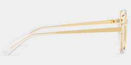 Oromiya Aviator Crystal Glasses6