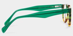 Mastin Round Tortoise Glasses4