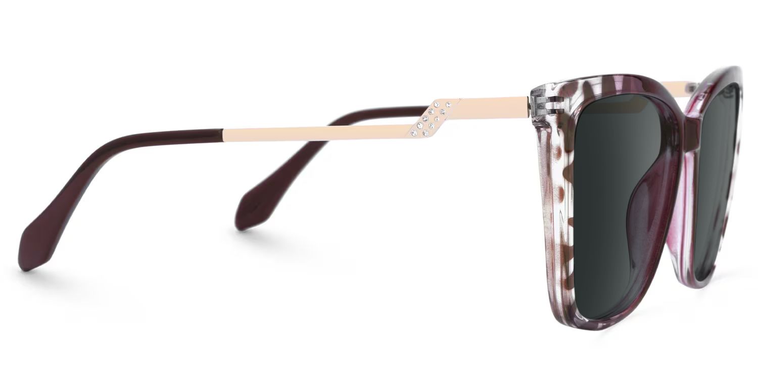 Awilda Cateye Purple and Tortoise Sunglasses2