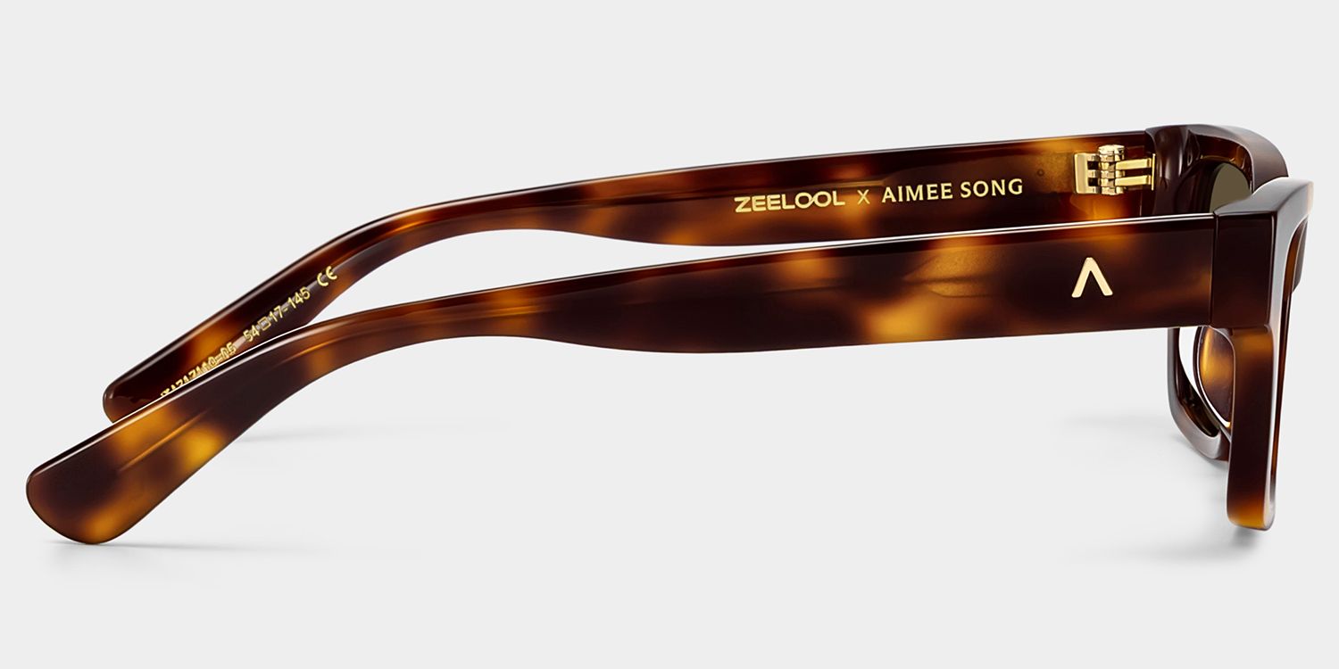 ZEELOOL x Aimee Song The Classic Tortoise Sunglasses4
