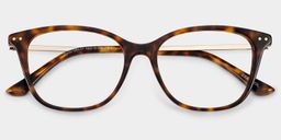 Finch Tortoise Rectangle Glasses2