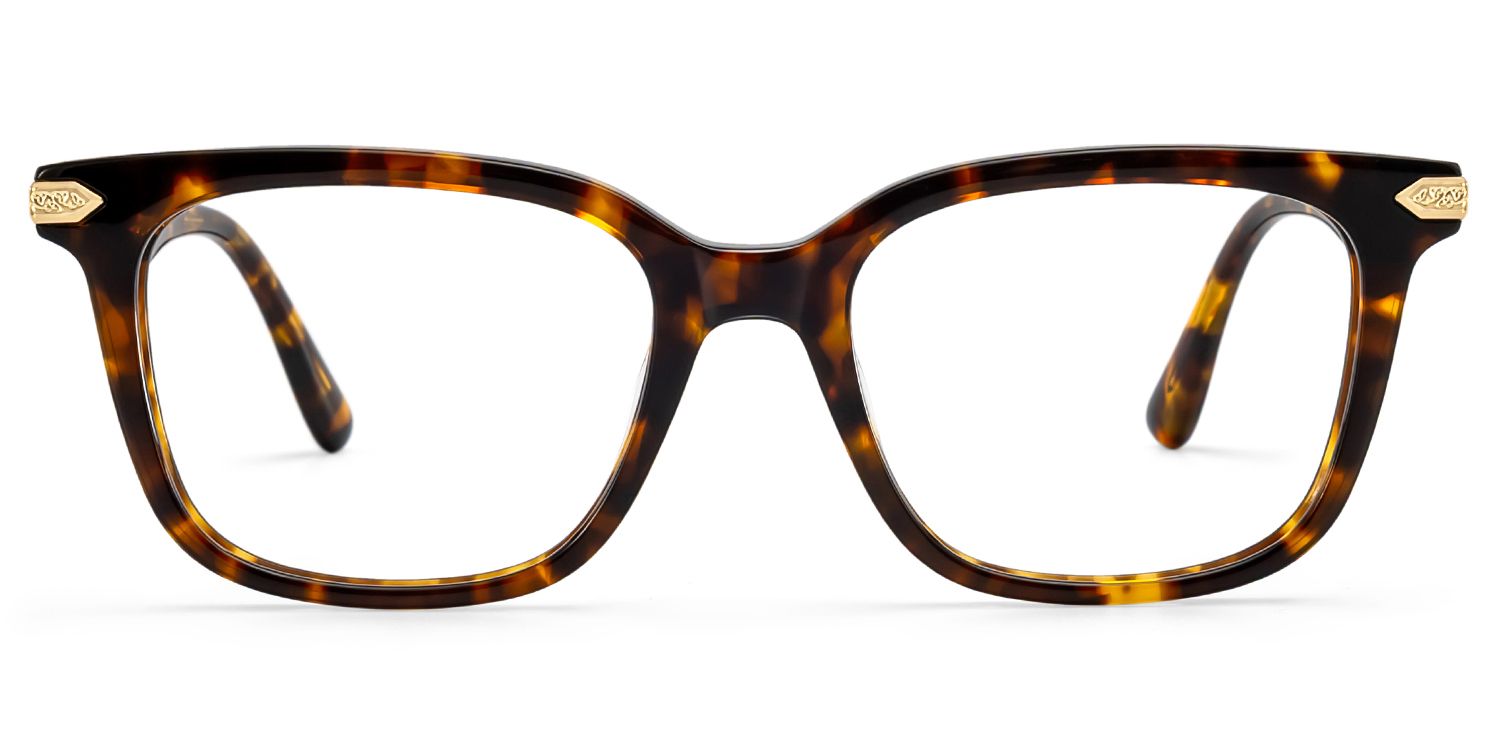 Thomas Black Frame Glasses with Rectangle Frame Online | ZEELOOL