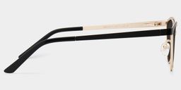Sydney Cat Eye Black Sunglasses3