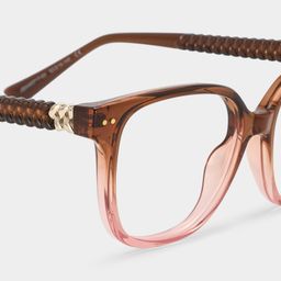 Clara Two-tone Cat eye Glasses4