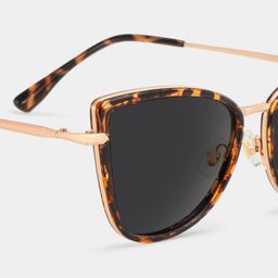 Sloane Tortoise Cat eye Sunglasses4