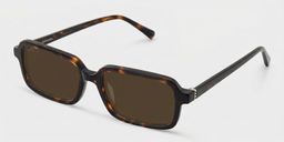 Danielle Tortoise Rectangle Glasses2