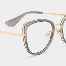 Celine  Cat-eye Gray Glasses5