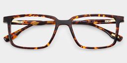 Cyrus Tortoise Rectangle Glasses2