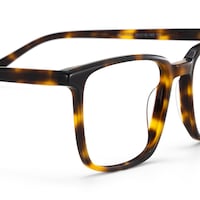 Aidan Rectangle Tortoise Glasses5