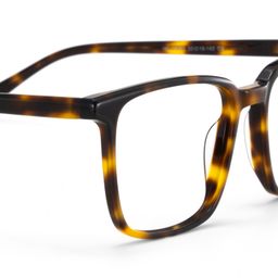 Aidan Rectangle Tortoise Glasses5