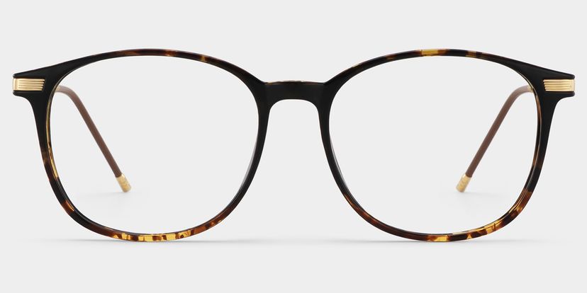 Greene Square Glasses