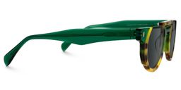 Mastin Round Tortoise Glasses2