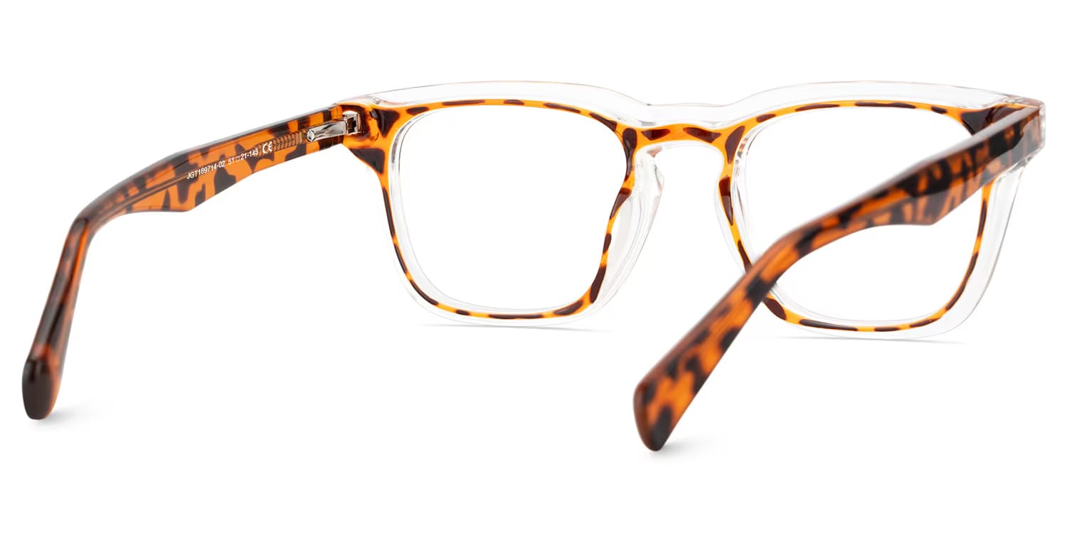 Tr90 Eyeglasses Frames With Rectangle Shape and Tortoise Color5