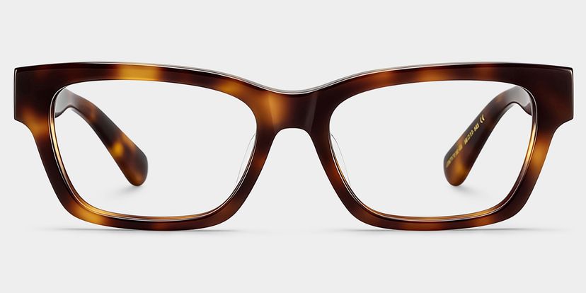 The Classic Tortoise Rectangle Glasses