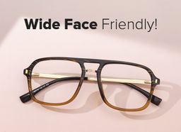 Kilworth Aviator Brown Glasses5